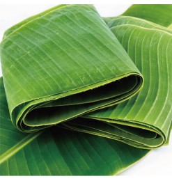 Banana Leaf (230-250gm)